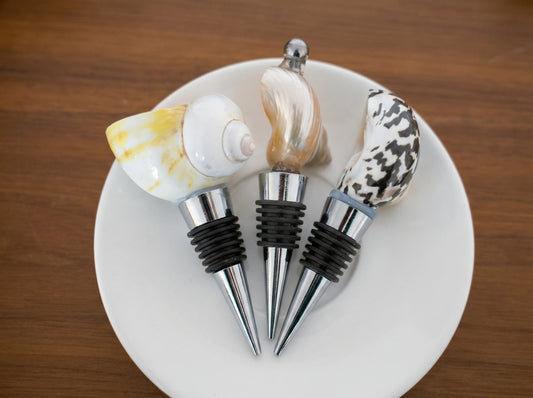 Shell wine stopper
