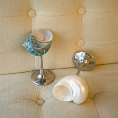 Seashell Wine Glass