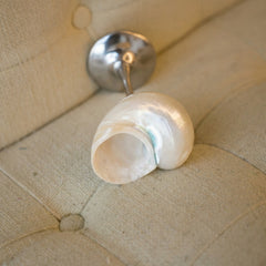 Seashell Wine Glass