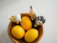 Shell wine stopper