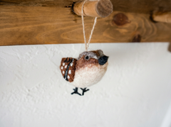 Little Bird Series