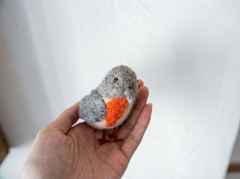 Little Bird Series