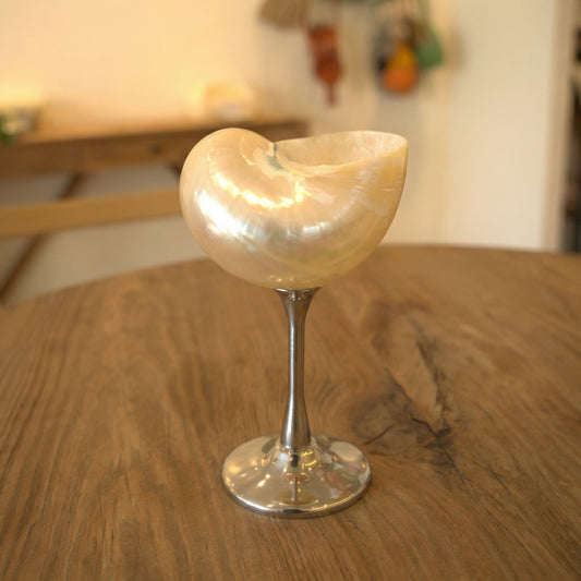 Seashell Wine Glass