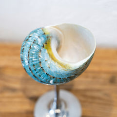 Seashell Wine Glass