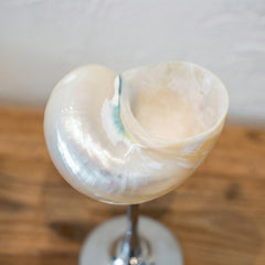 Seashell Wine Glass