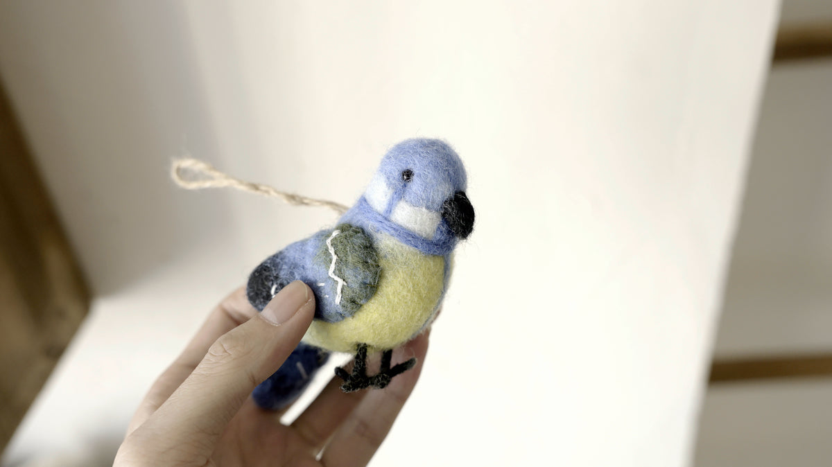 Little Bird Series