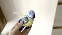 Little Bird Series